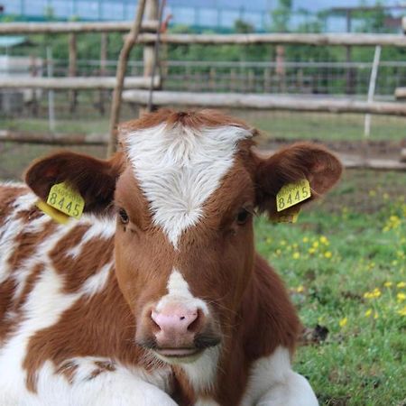 La Tenuta Del Campo Di Sopra Patrica Zewnętrze zdjęcie