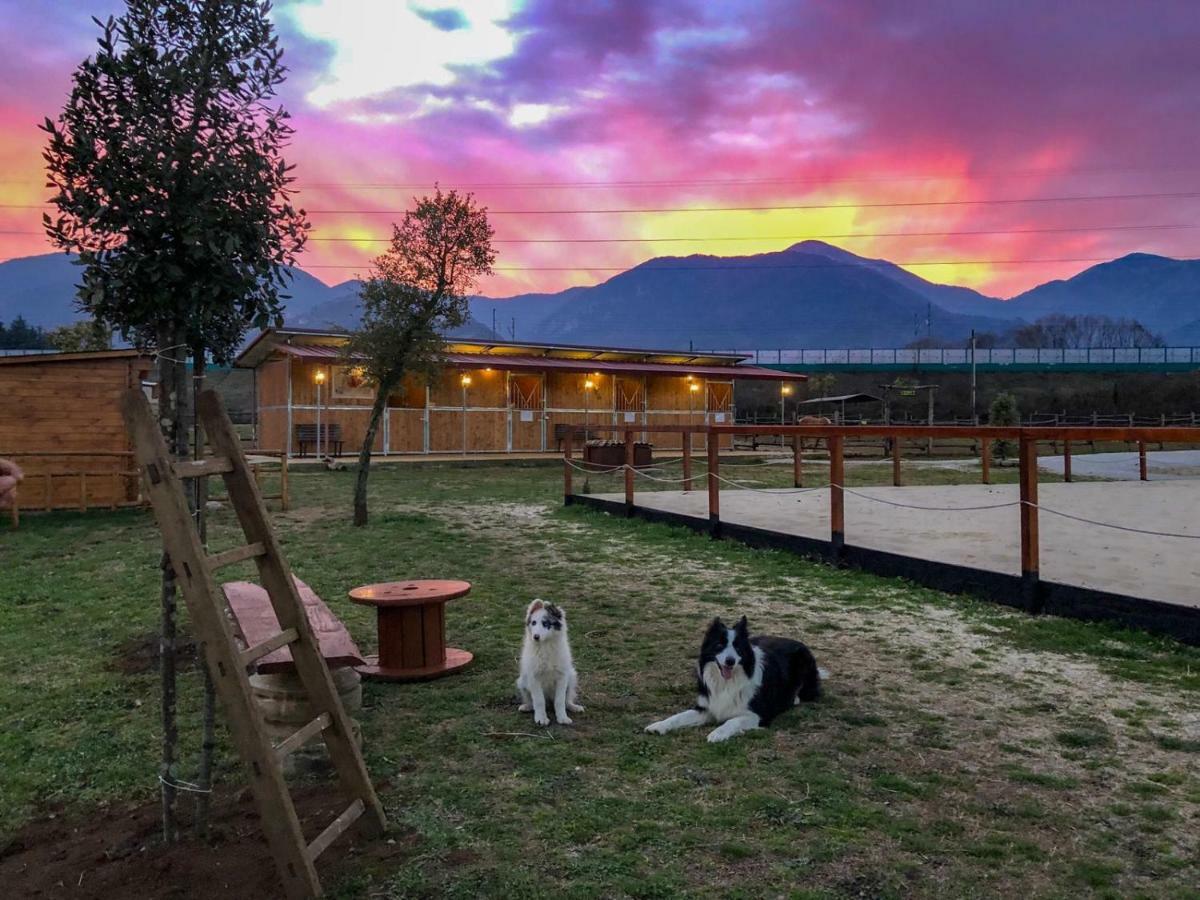 La Tenuta Del Campo Di Sopra Patrica Zewnętrze zdjęcie